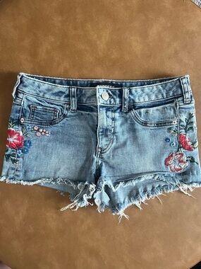 Express Shortie Relaxed Low-Rise Embroidered Frayed Denim Shorts. Size 2.